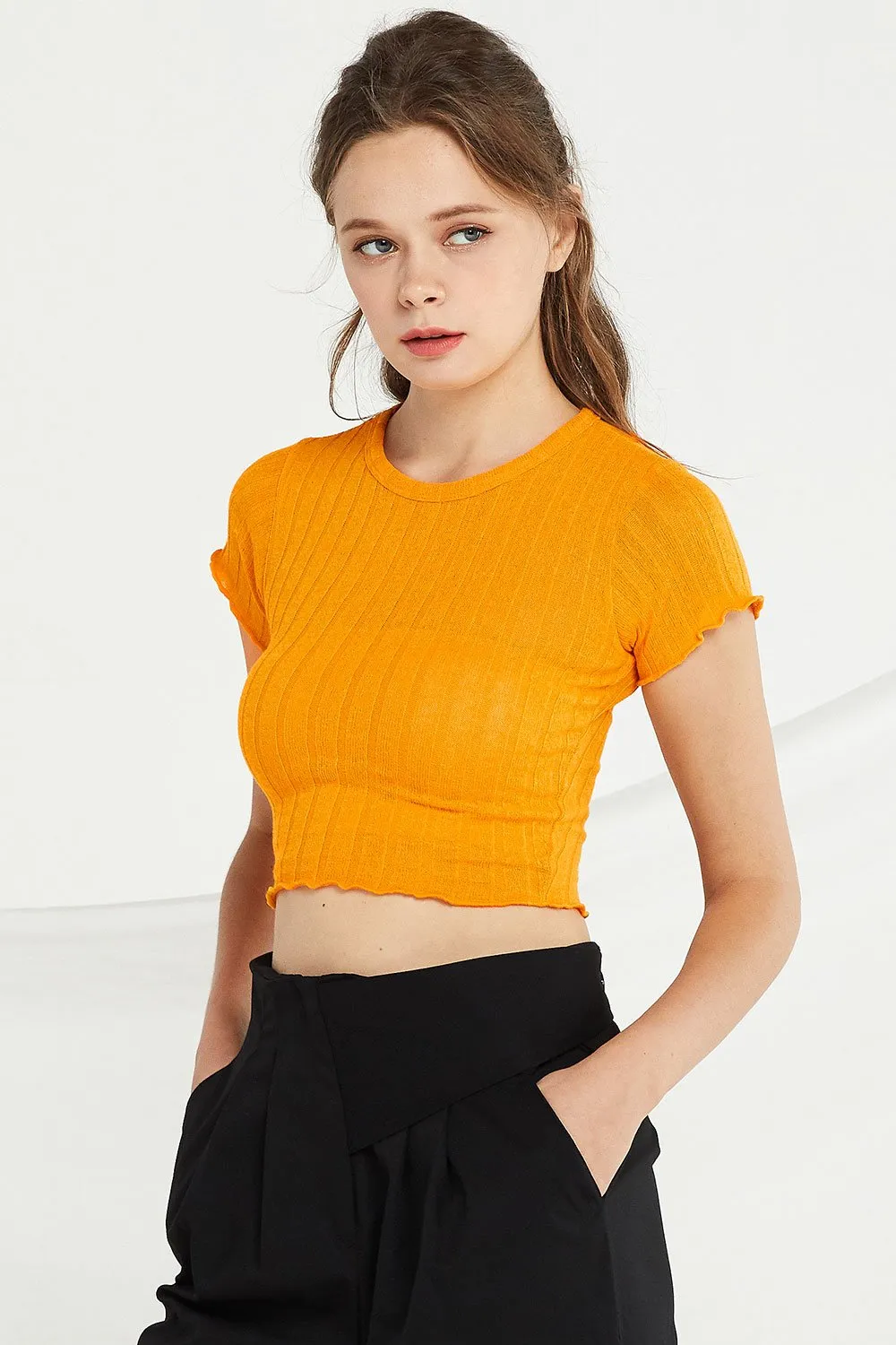 Adriana Ribbed Knit Crop Top