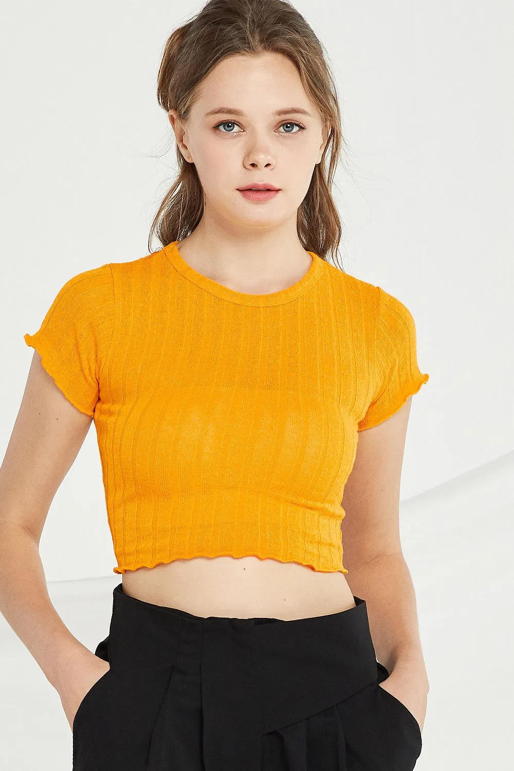 Adriana Ribbed Knit Crop Top