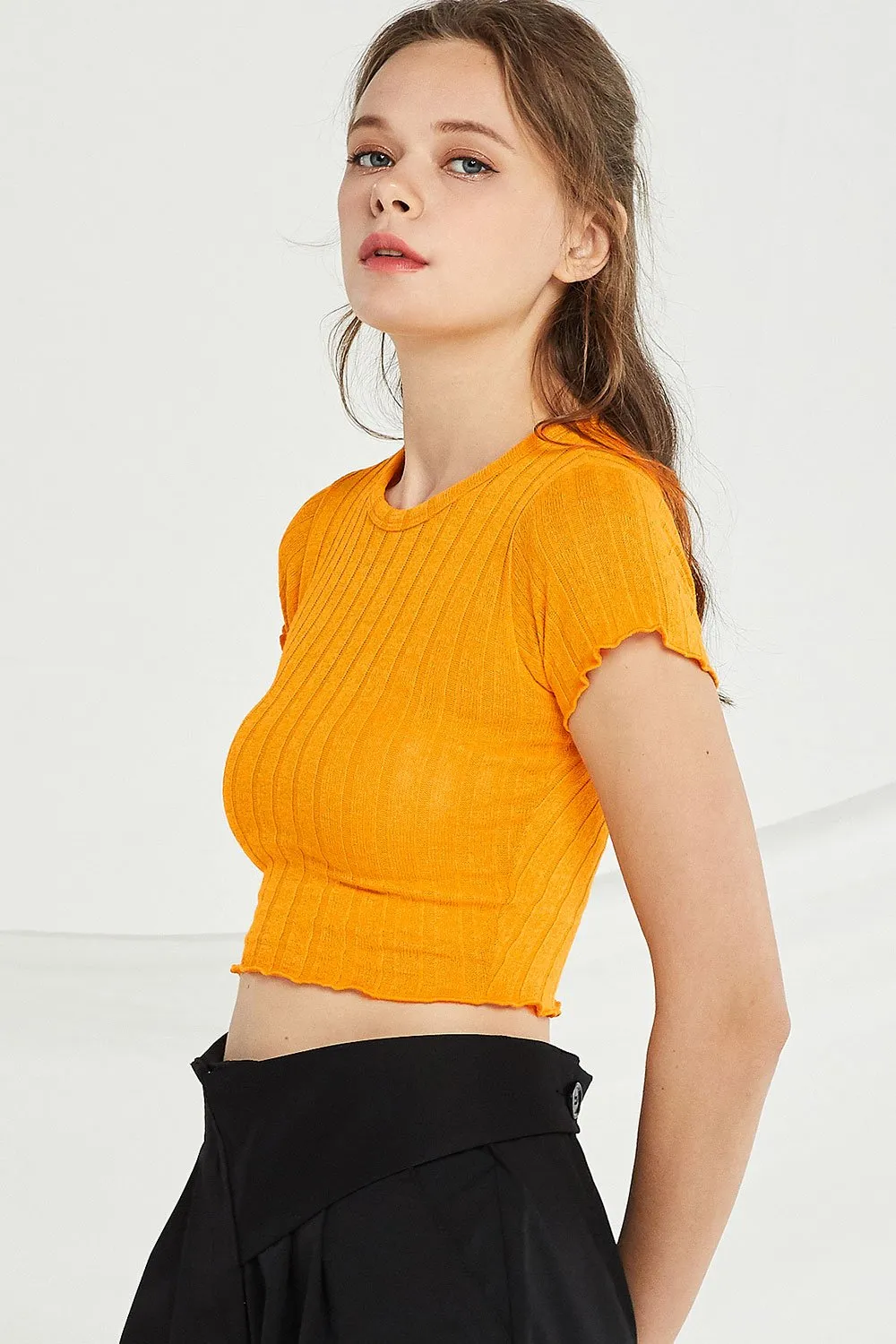 Adriana Ribbed Knit Crop Top