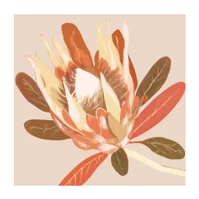 Augusta Autumnal Protea , By Stacey Williams