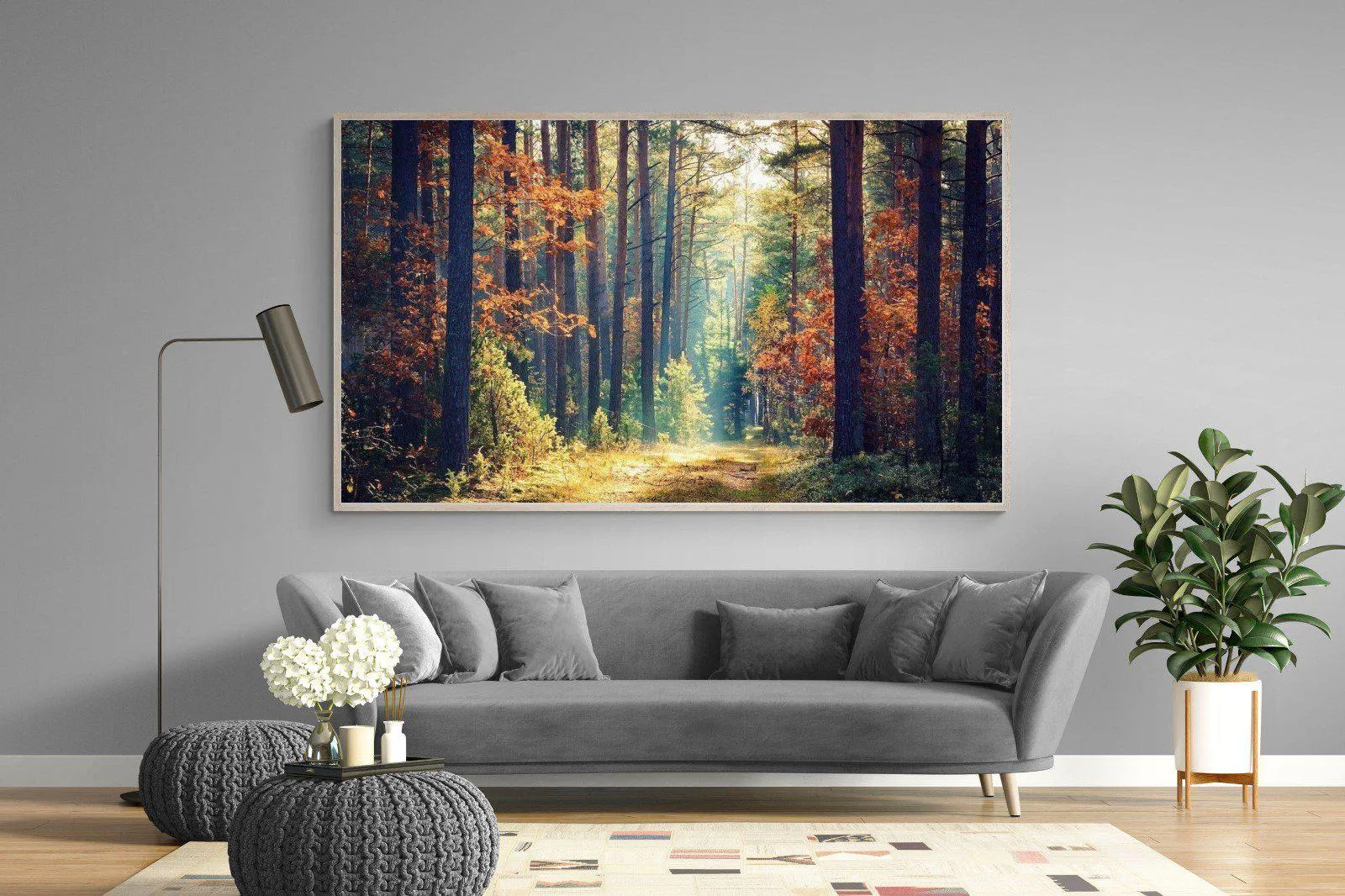 Autumn Forest