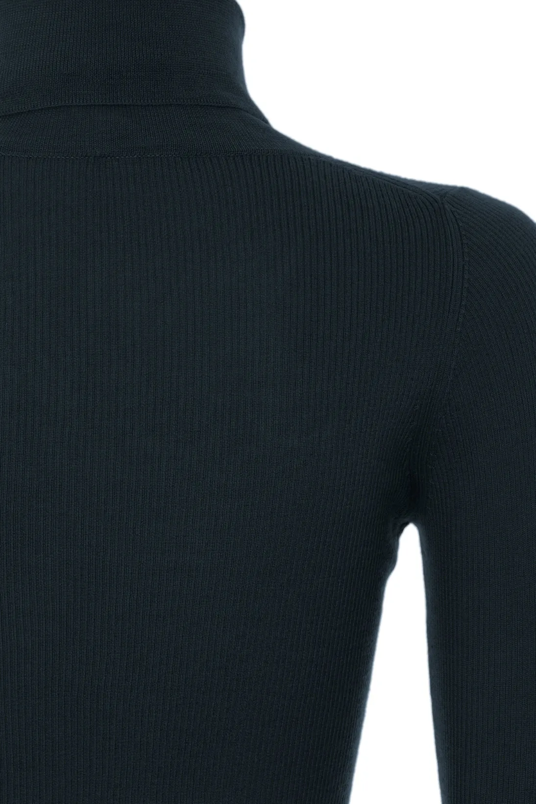 CASHMERE RIBBED TURTLENECK