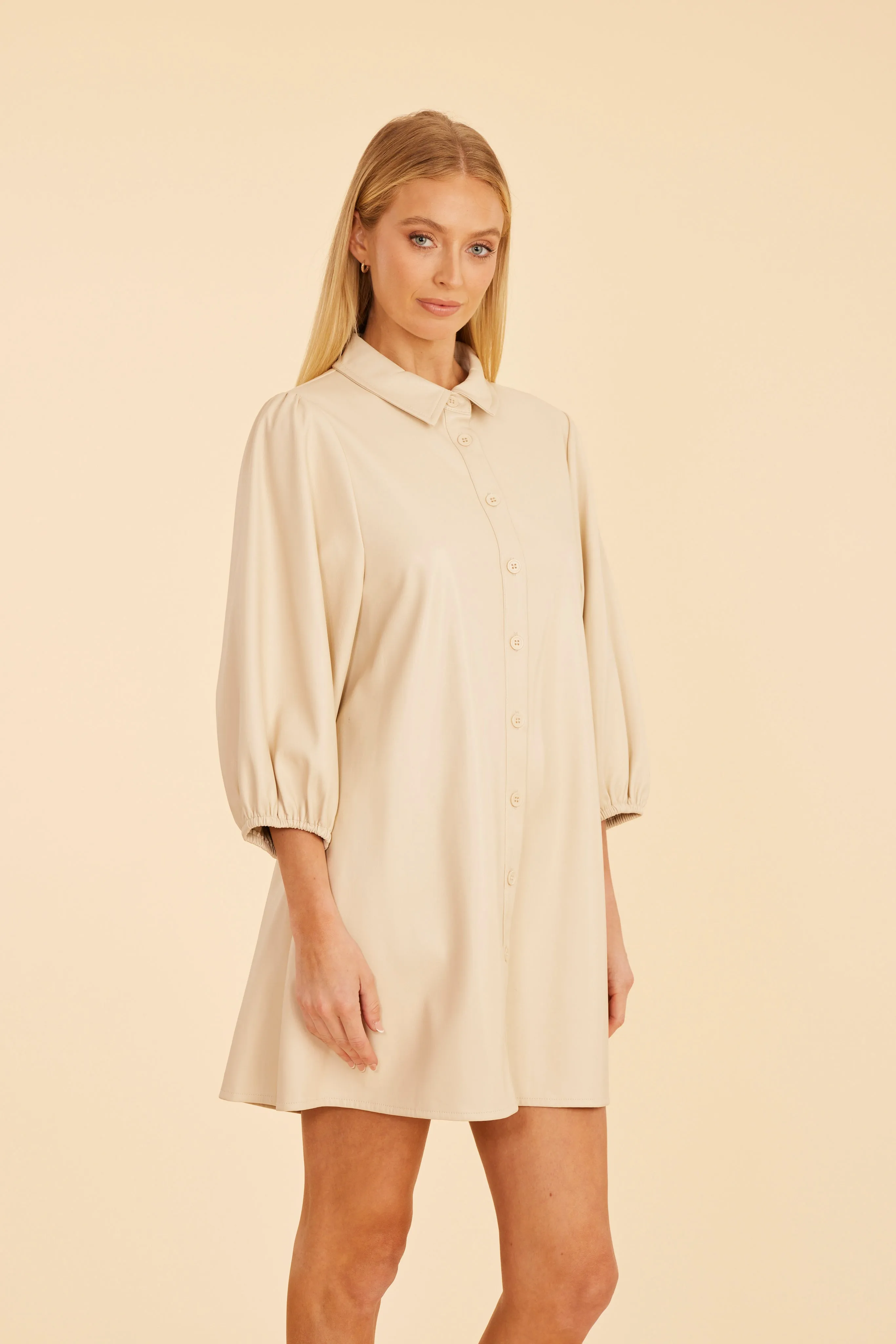 Classic Faux Leather Dress with Puff Sleeves