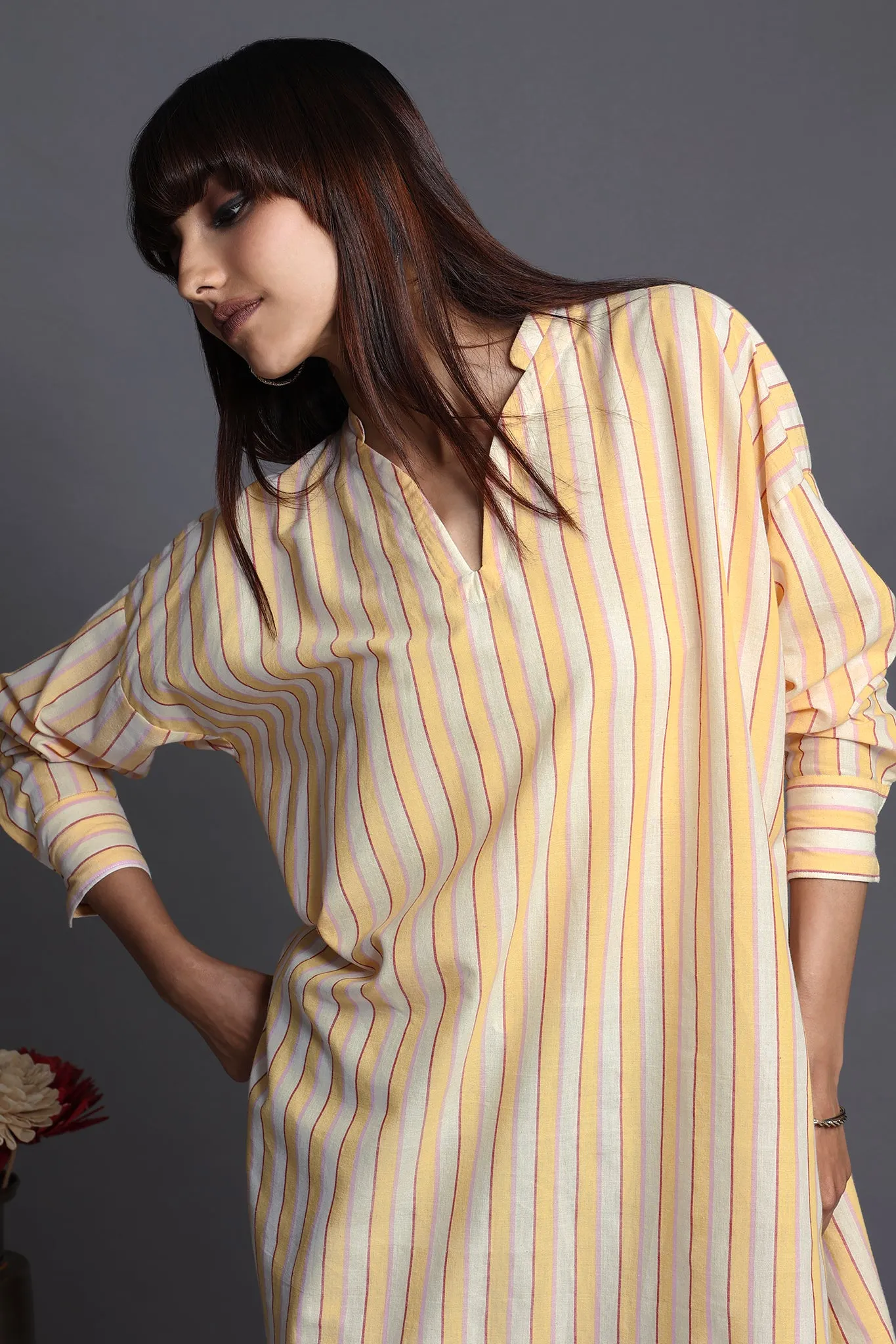 leisure long tunic - sunny stripes & white canvas